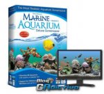 Marine Aquarium.jpg