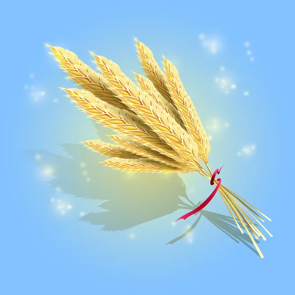 dep_21197345-Bunch-of-ripe-wheat.jpg