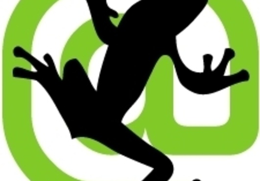 Screaming-Frog-Logo_1_.jpg